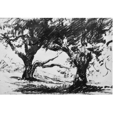 Stefan POPESCU(1872-1948) - Margine de padure